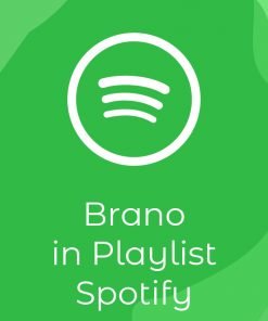 Aggiunta Brano in Playlist Spotify