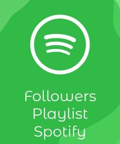 Follower Playlist Spotify