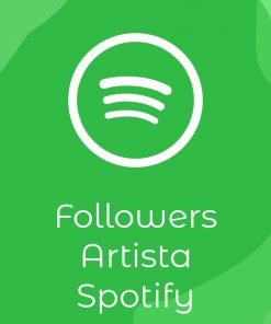 Follower artista Spotify